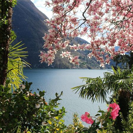 Apartamento Barony Olive 2 Personen Mit Hund Lugano Exterior foto