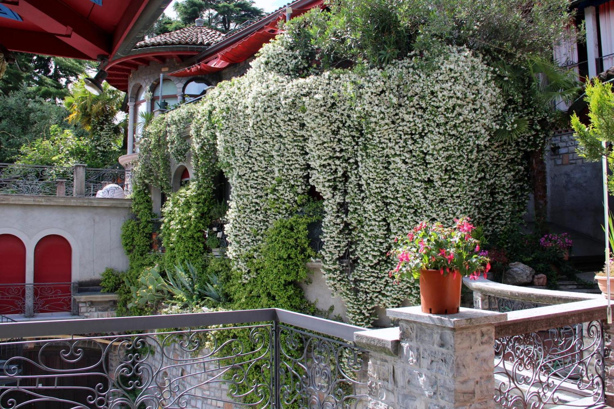 Apartamento Barony Olive 2 Personen Mit Hund Lugano Exterior foto